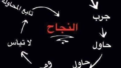 IMG 20220203 225349 503