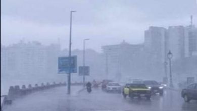 IMG ٢٠٢٢٠٢٠٨ ٠٦١٦٠٣