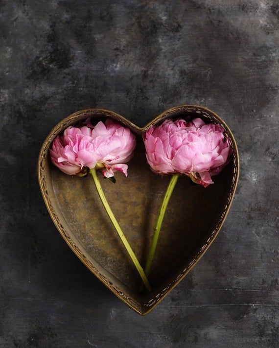 inbound2654256268011686440