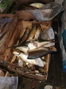 275835851 2316936208445103 5780924030992938413 n