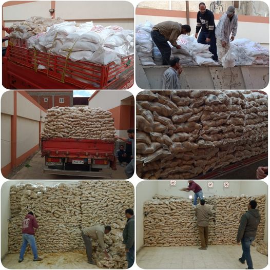 276121075 340739314757496 1887600949091207713 n