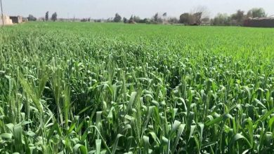 FB IMG 1646421064504