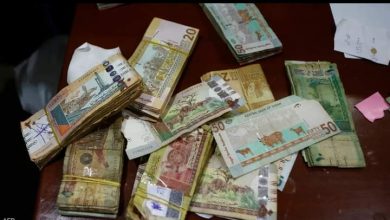 FB IMG 1648205893430