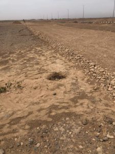 FB IMG 1649162896543