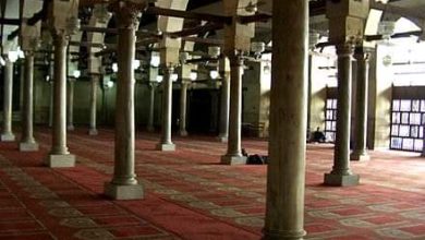 FB IMG 1649242031035