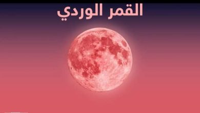 FB IMG 1650232678488