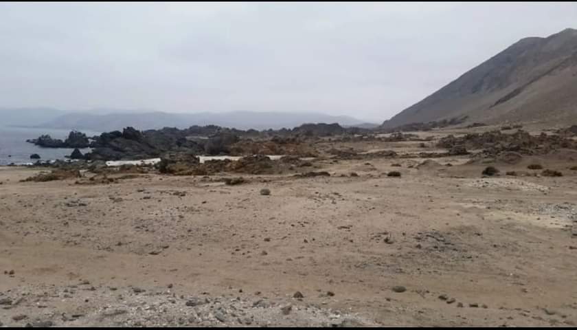 FB IMG 1650667624366