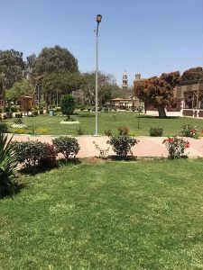 278611362 392947306209029 4557518117181336355 n