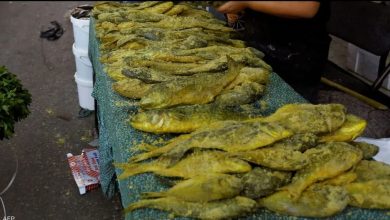 279220435 164654005978045 5938812020355050338 n