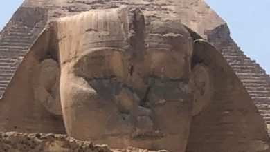 280516347 5060391467331755 6669941458126532901 n