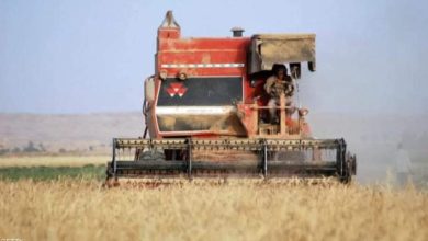 FB IMG 1652019892183