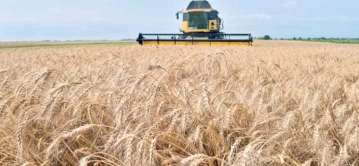 FB IMG 1652537174602