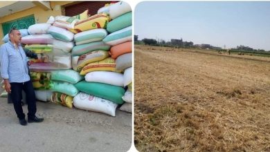 FB IMG 1654970333514