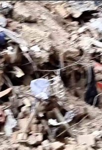 FB IMG 1655501404067