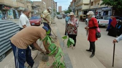 298732558 5108037352658553 9084639035850530026 n