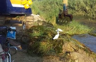 306280169 166243679349535 3773929685039060584 n