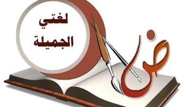 إبداعات عربية بقلم/ أحمد الهواري