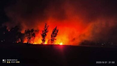 FB IMG 1669328085825