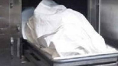 319507988 3329297177310894 8065324488065567008 n