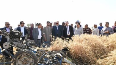 343210068 702743731289214 6567514520842060942 n