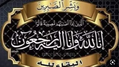 346809423 194201973498690 2559129013559266273 n