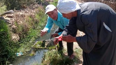 FB IMG 1684964510809