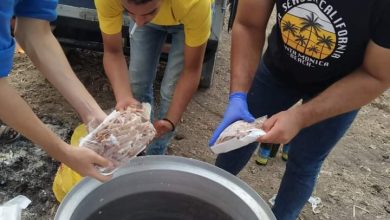 ضبط سلع غذائية غير صالحة بالغربية