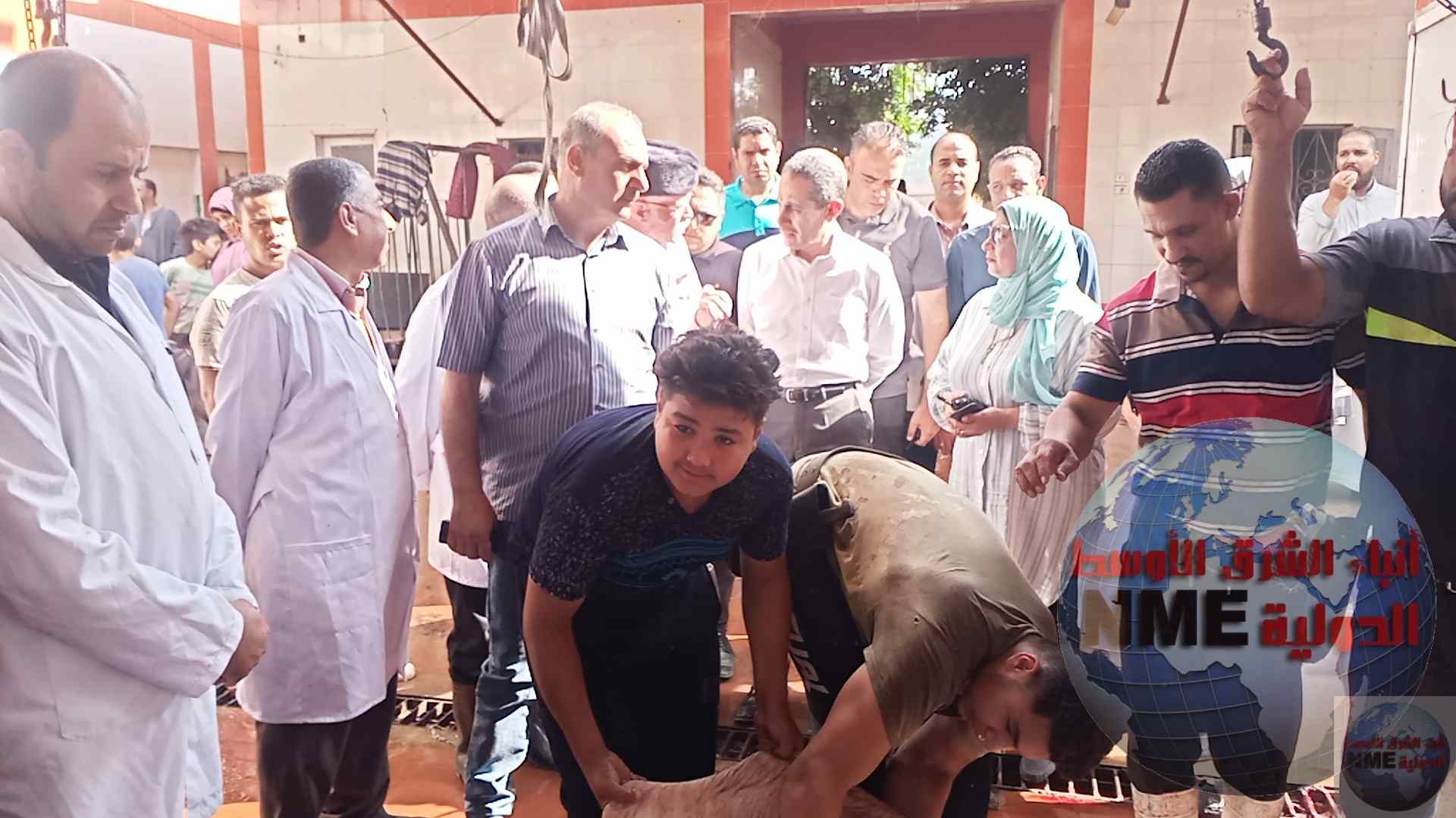 IMG ٢٠٢٣٠٦٢٠ ٠٩٠٨٤٧