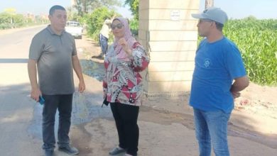 رئيس مركز ومدينة السنطة تواصل جولاتها بزراعة الأشجار المثمرة
