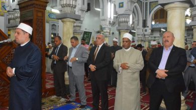 inbound3272117708978613706