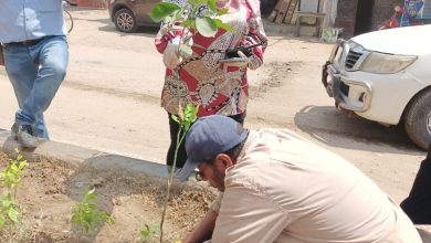 رئيس مدينه السنطه تقود حمله نظافه مكبرة بمدينه السنطه 