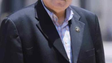 375027428 1676643972746466 3860061243819178687 n 773x1024 1