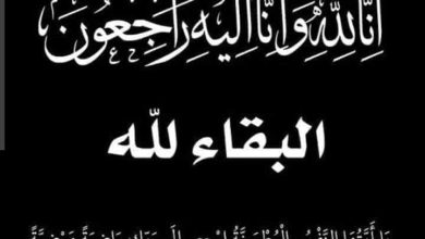 376782611 3791738211053397 7414637823754353375 n