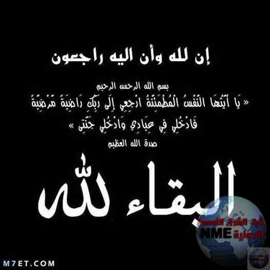 377504230 24086523087605629 4012495618141006540 n