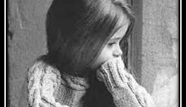 FB IMG 1694109779660