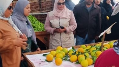 IMG ٢٠٢٣١١٢١ ٠٠٤٣٠٨