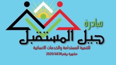 المجتمع المدني....العمل العام ..بقلم وفاء محمود 