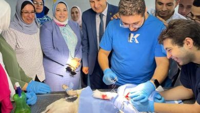 461193565 1933802087132570 8766111605618969344 n