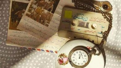 اللغات لا تكذب ابدآ.. بقلم وفاء محمود