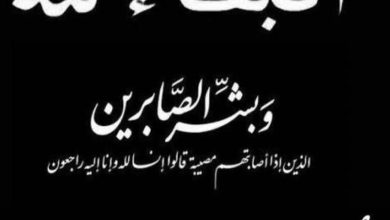 503514088 30223808523877024 8775802937682005876 n