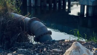 504154666 30257054017219141 6554352385279631457 n