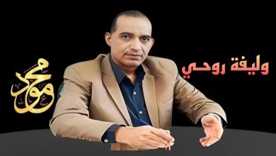 وليفة روحي..بقلم مستشار محمود السنكري