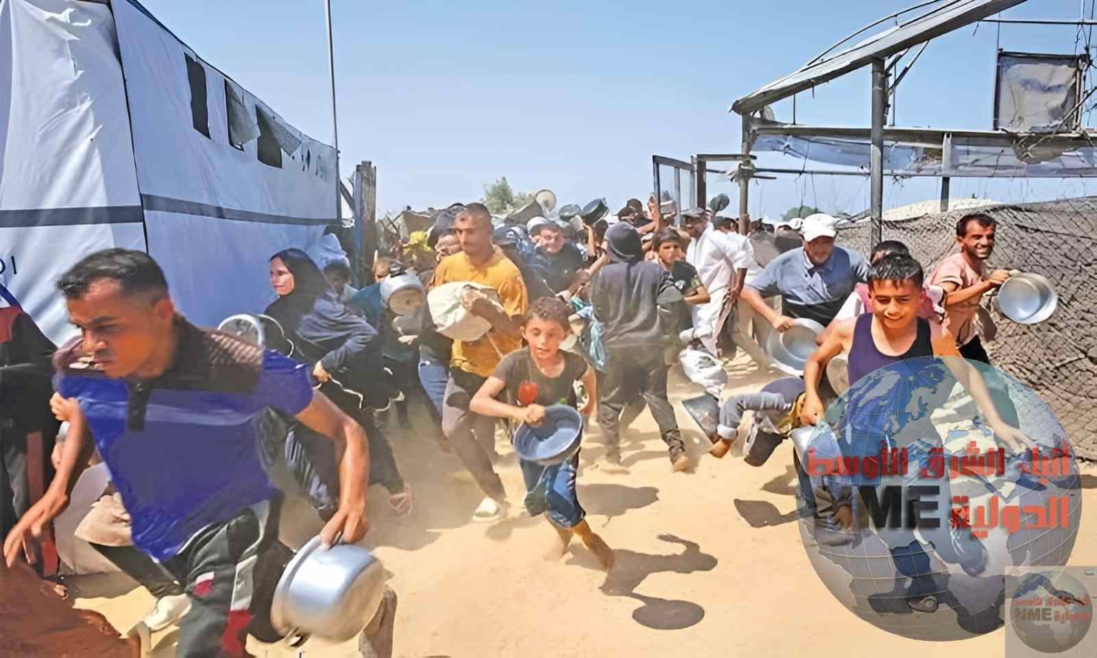 أمة عربية على حرب تجويع غزة شاهدة وأمام الصهيونية عاجزة.. بقلم مستشار محمود السنكرى 