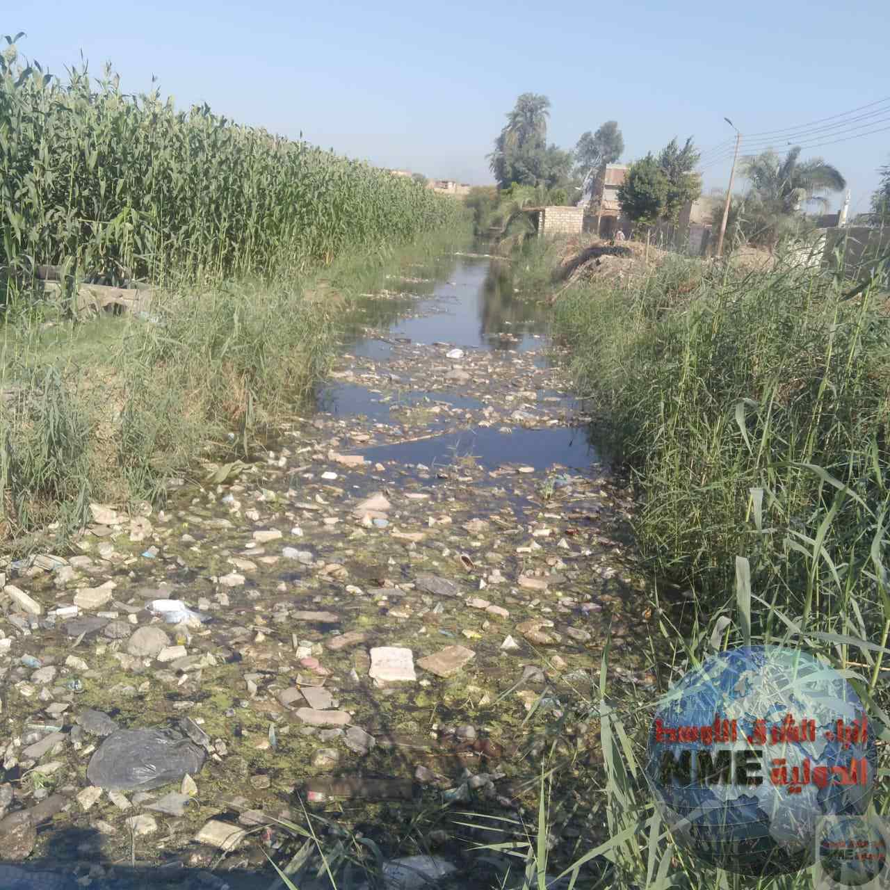 أهالي قرية الحلافي الغربية – يناشدون المسؤولين لتحسين الخدمات الأساسية 2 أهالي قرية الحلافي الغربية – يناشدون المسؤولين لتحسين الخدمات الأساسية