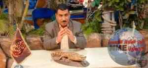 570451828 2114505609290246 5886349128262269248 n