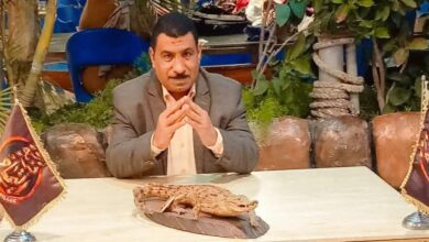 570451828 2114505609290246 5886349128262269248 n