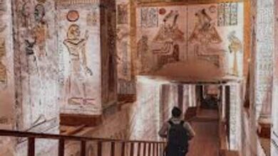 625238332 34058849537039551 1117001093008136132 n