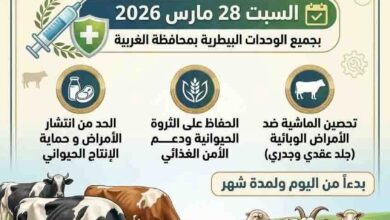 FB IMG 1774710188107